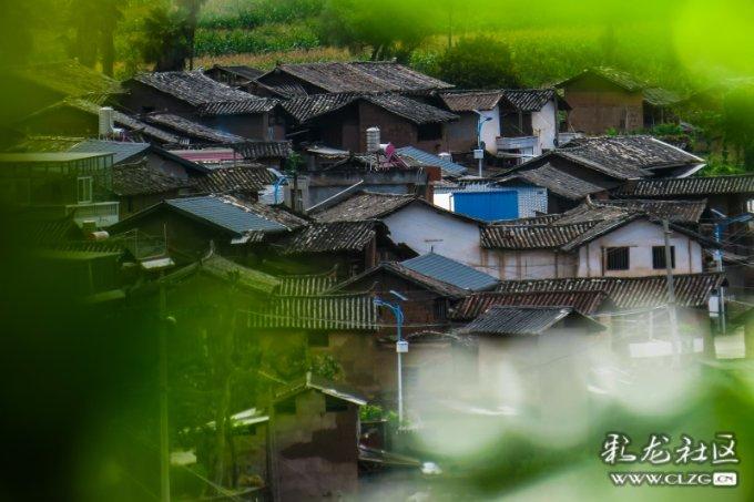 面板行业景气度攀升 TCL科技去年净利预增超700%