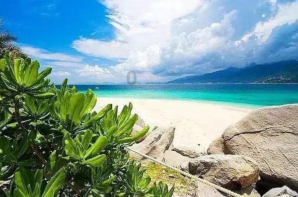 极限巅峰