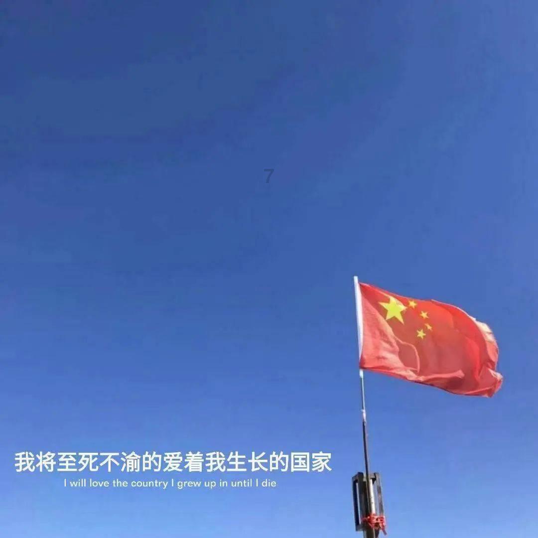 拯救精灵的土地5