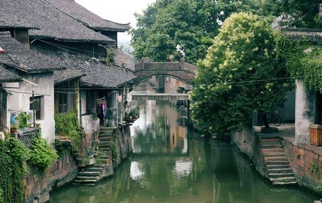 组装机械章鱼龙