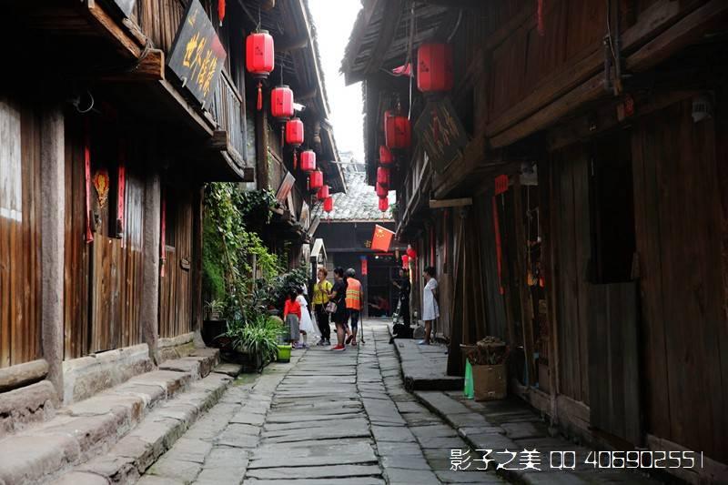 动物帮帮忙保卫家园